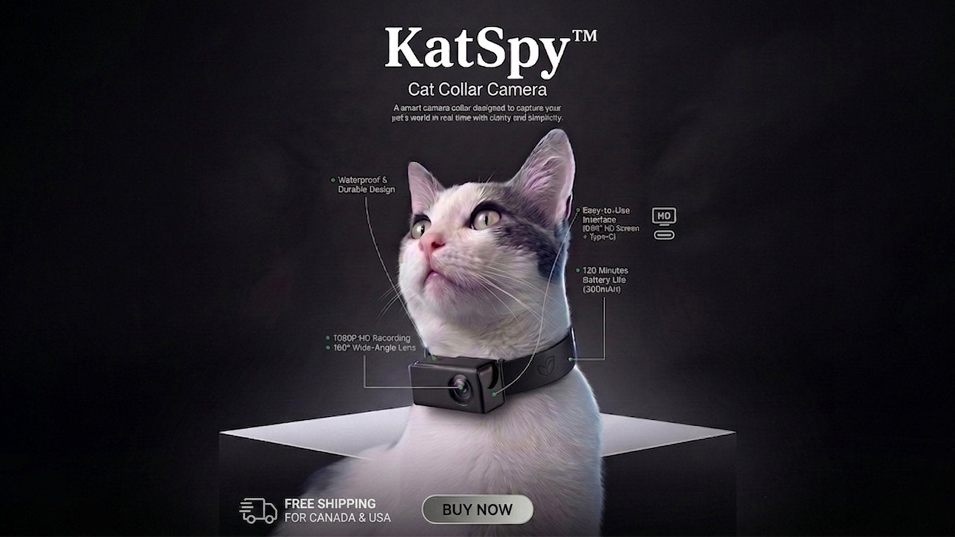 KatSpy Cat Camera